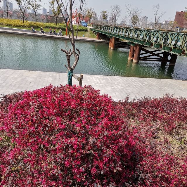 奉浦四季生态园旅行图片 3