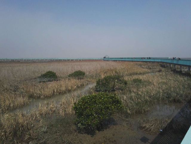 闽江河口国家湿地公园旅行图片 3
