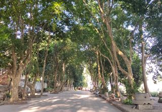 伊岭岩，壮乡风情和地下宫殿（2）——广西七日（2）