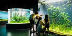 山海关欢乐海洋公园度假区游记图片] 秦皇岛游玩一定不能错过乐岛海洋王国