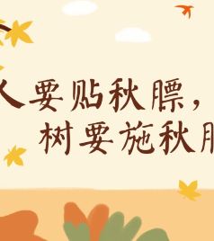 青岩古镇游记图文-贴秋膘去青岩古镇？一个被美食耽误的小镇，本地人都爱去那啃猪脚