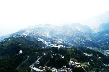 東林寨