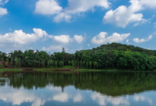 平湖生态园景点图片