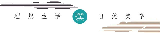 露营算什么,露营节才是硬货——广州首届金秋桑果露营节11.20开幕