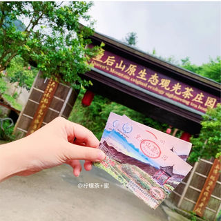 打卡素有“岭南美后第一峰”之称的皇后山茶庄园