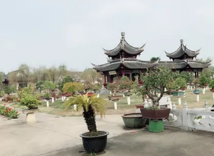 龍川盆景藝苑（雅典娜路）