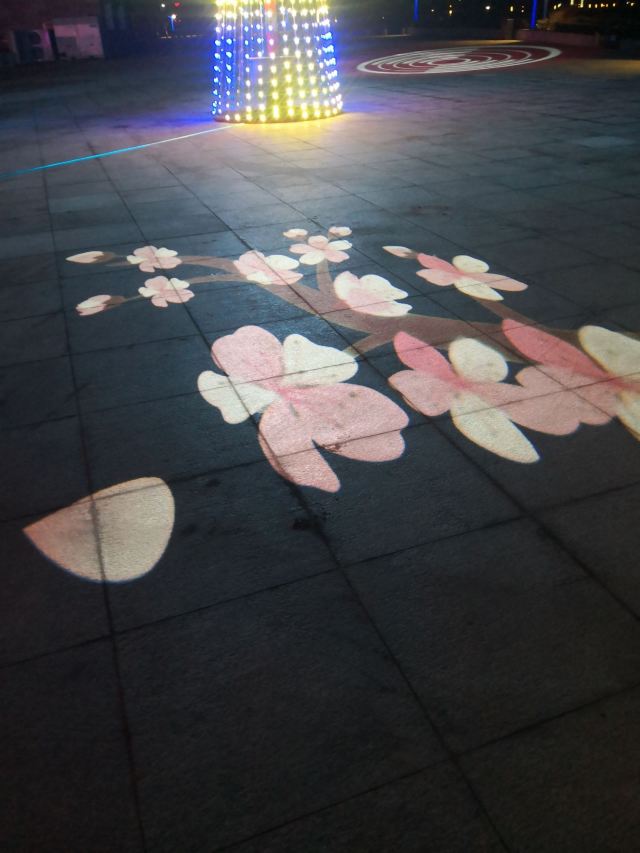 唐岛湾滨海公园-观景台旅行图片 4