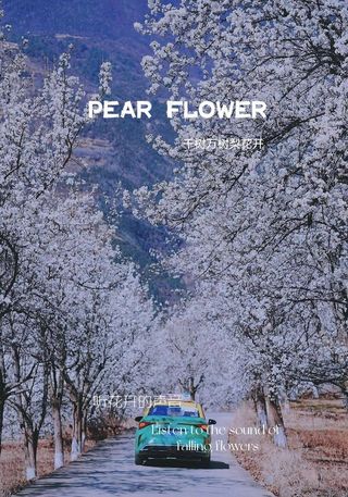 去金川,遇见中国最美春天!