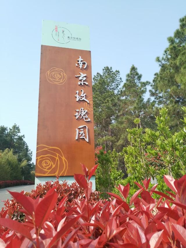 南京玫瑰园旅行图片 3