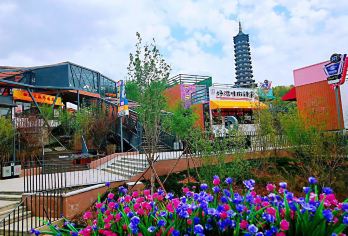 【沈阳+怪坡+棋盘山+徒步+爬山+休闲+熙古里+一日游】【1、怪坡神奇的反重力现象，上坡轻松下坡费力。四季皆宜，春赏花，夏避暑，秋观叶，冬玩雪】