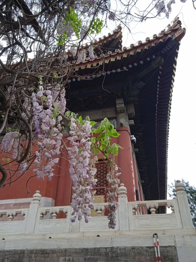 地坛公园旅行图片 4