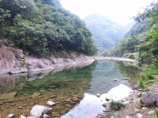 桐城文和园