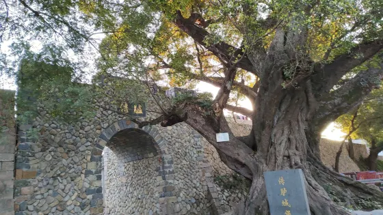 傳臚城堡