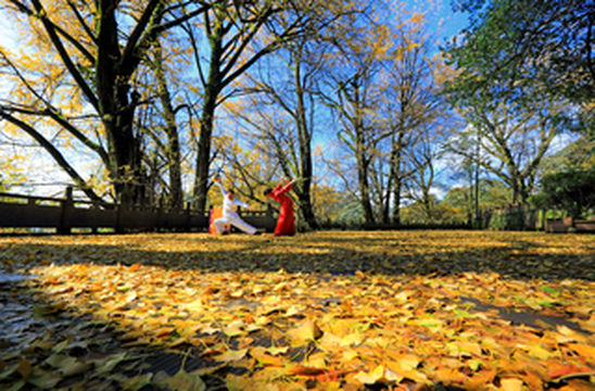 想要实现冰雪、暖阳双重自由？那就去雅安吧~