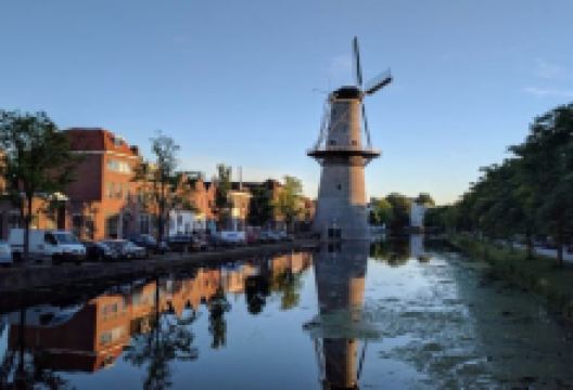 Noordmolen Restaurant美食图片