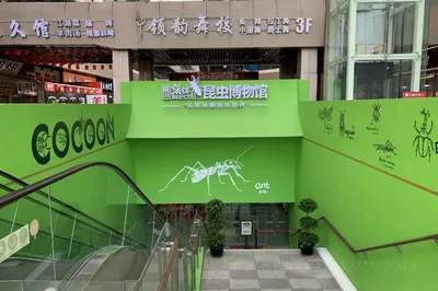 四川活体昆虫博物馆
