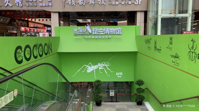 四川活体昆虫博物馆