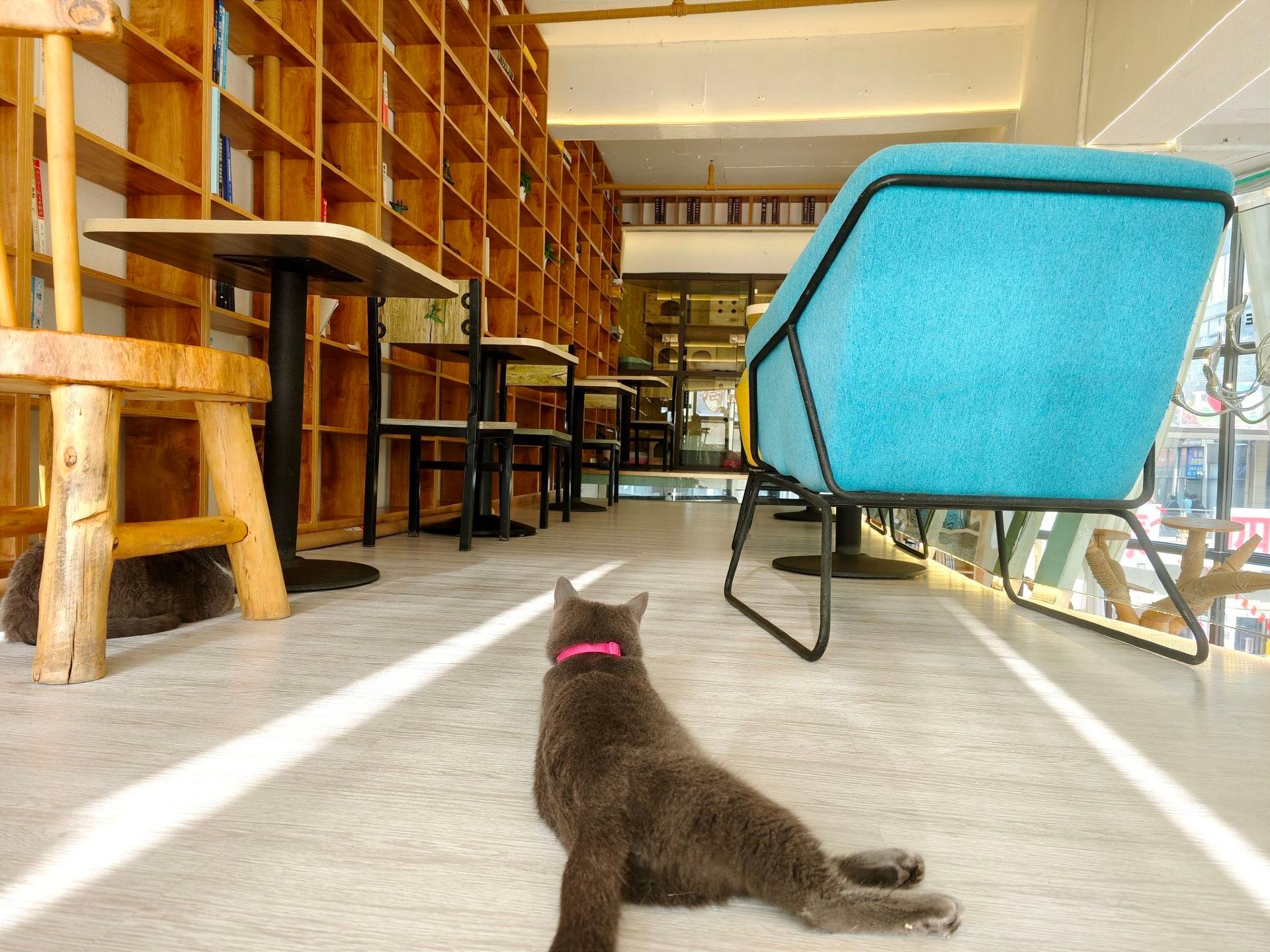 Gallery 3