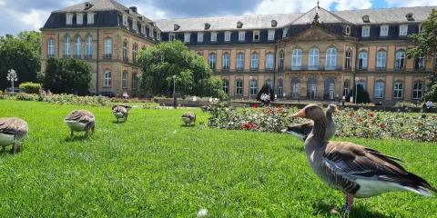 宮殿花園的下園