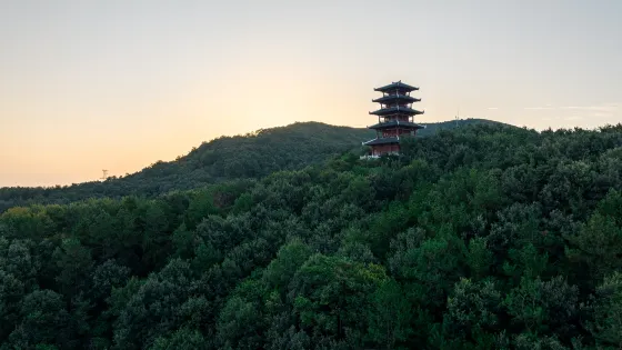 震雷山
