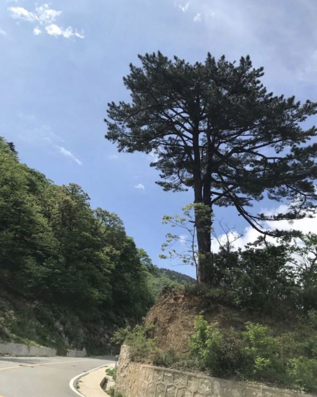 马鬃岭景区旅行图片 1
