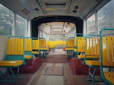 广州博物馆-广州-魔女锦鲤