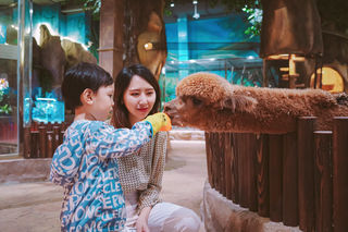 暑期档遛娃避暑胜地！宝燕乐园最强攻略，分分秒秒值回票价