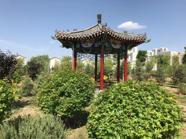 草原丝绸之路文化主题公园旅行图片 10