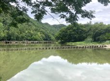 鼎湖峰-缙云-走遍天下XZ