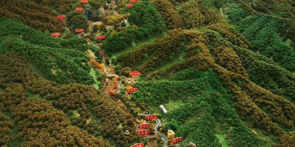 永安旅遊