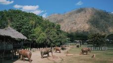 泰国大象自然保护公园-Kuet Chang-小小呆60