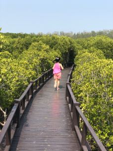 华欣海滩-华欣-钱龙