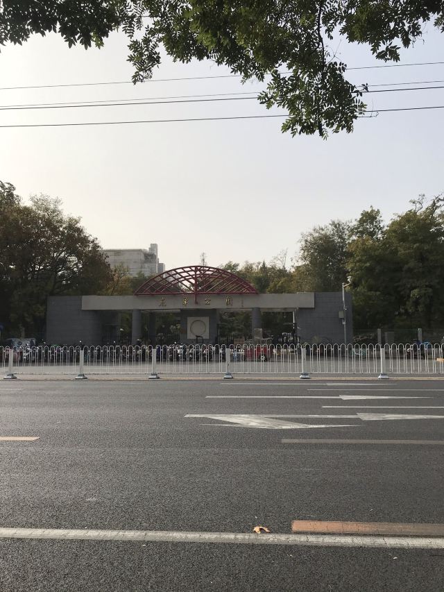 东单公园旅行图片 1