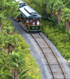 寻甸游记图文-三里春风，三里路，步步春风凤龙湾