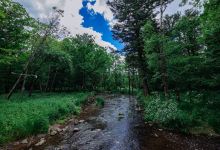 火炉山森林公园景点图片