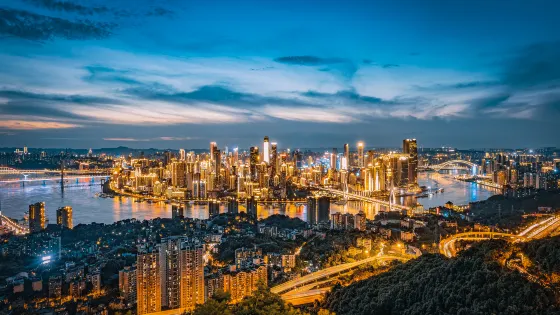 南山一棵樹觀景台