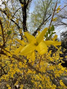 和平公园-长崎-Lavender and Sun