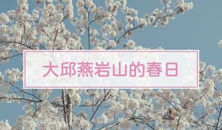 邂逅大邱燕岩山龟岩书院的春日