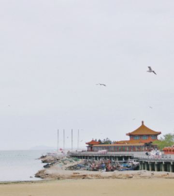 蓬莱区游记图文-仙乡有蓬，烟雨如来——在蓬莱的神仙日子