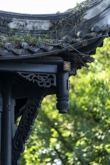 潼南大佛寺-重庆