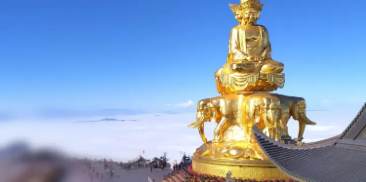 0101b120008rsjrfr116D_C_375_18