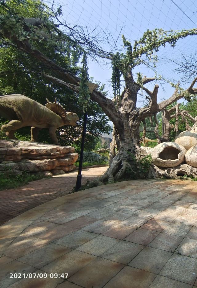 藏马山国际旅游度假区旅行图片 4