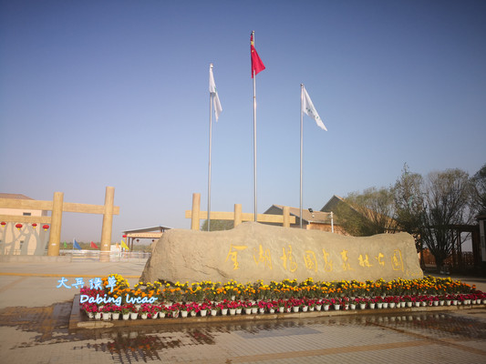 新疆一瞥之叶城 ——2020秋西藏新疆青海自驾游记（十三）