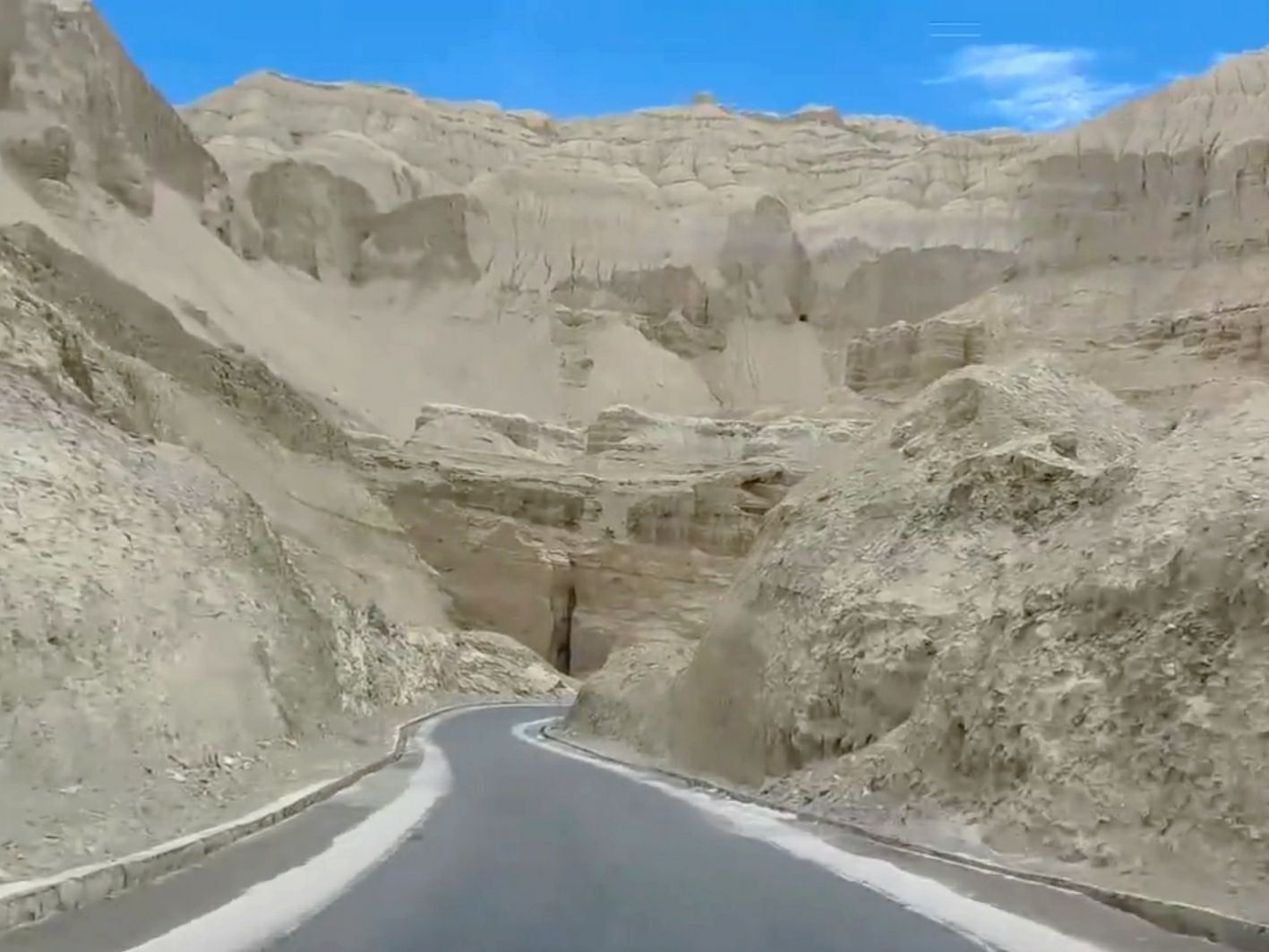 Tibet Ali Zanda soil forest