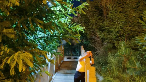 龍虎山風景區