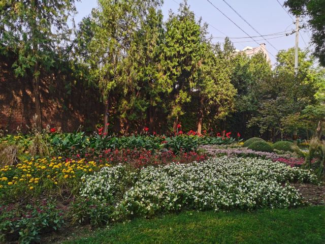 人定湖公园旅行图片 1