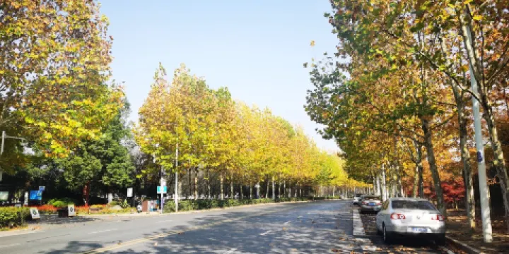 合肥野生動物園