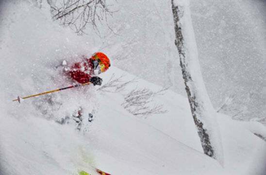 在日本北海道滑雪最爽的方式就是在留寿都滑树林