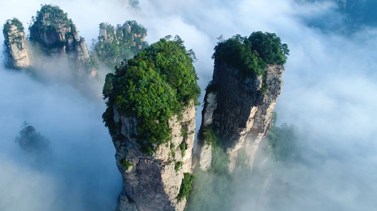 4-Day Best of Zhangjiajie: 2-Day Forest Park, Tianmen & Glass Bridge - Avatar peaks, Bailong Elevator, Golden Whip hike & monkeys, cliff skywalk - views & thrills - Licensed 7-14 Seat Van & 5-Diamond Hotel
