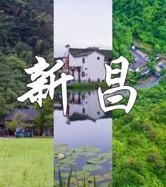 新昌游记图文-浙东行｜清爽夏日，诗路新昌